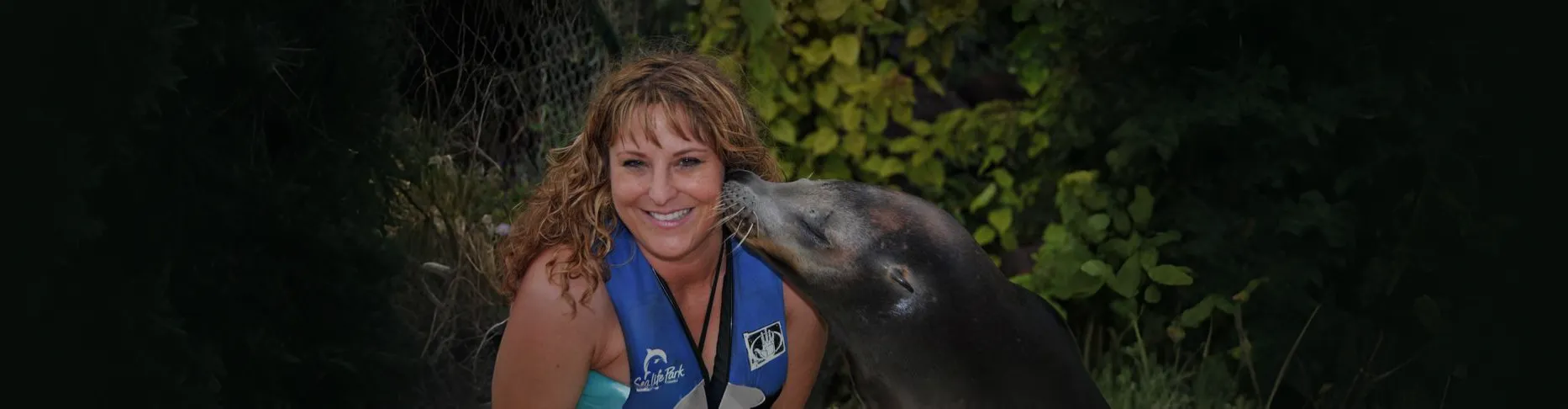 Petting a horse in the rain reflects holistic healing therapy supported by Divine Guidance & Therapeutic Touch.